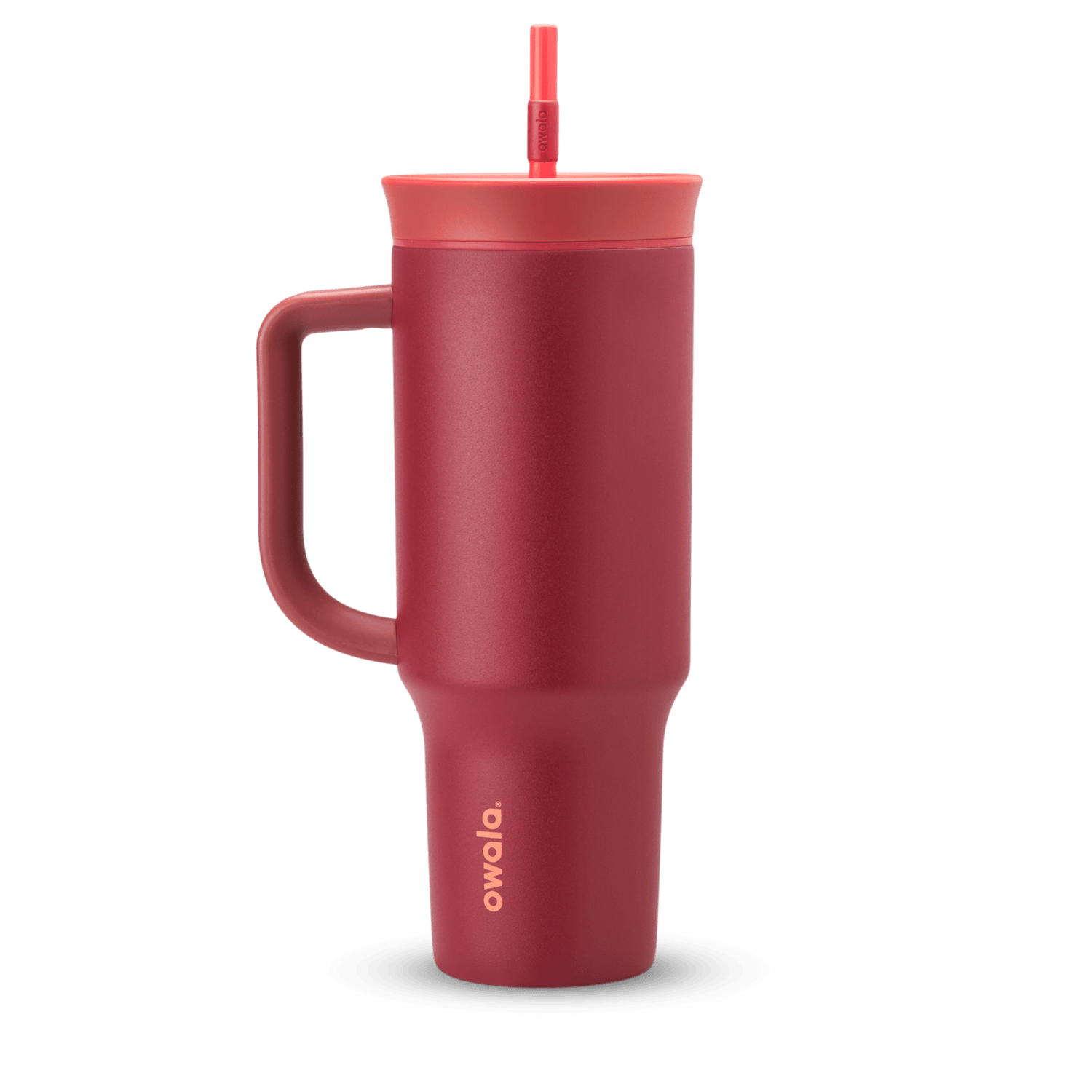 Pet Bowl - Second Set 39